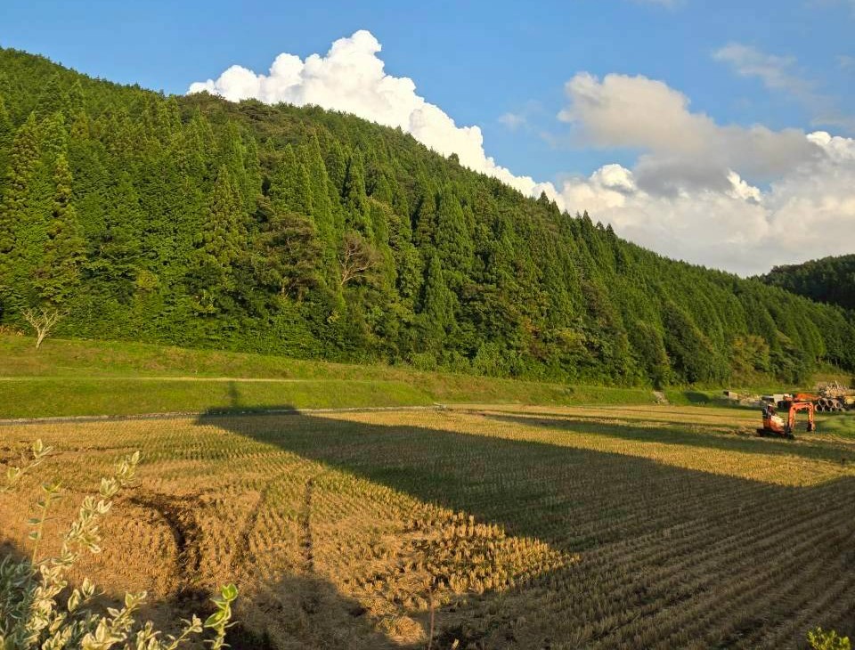 北広島町の風景
